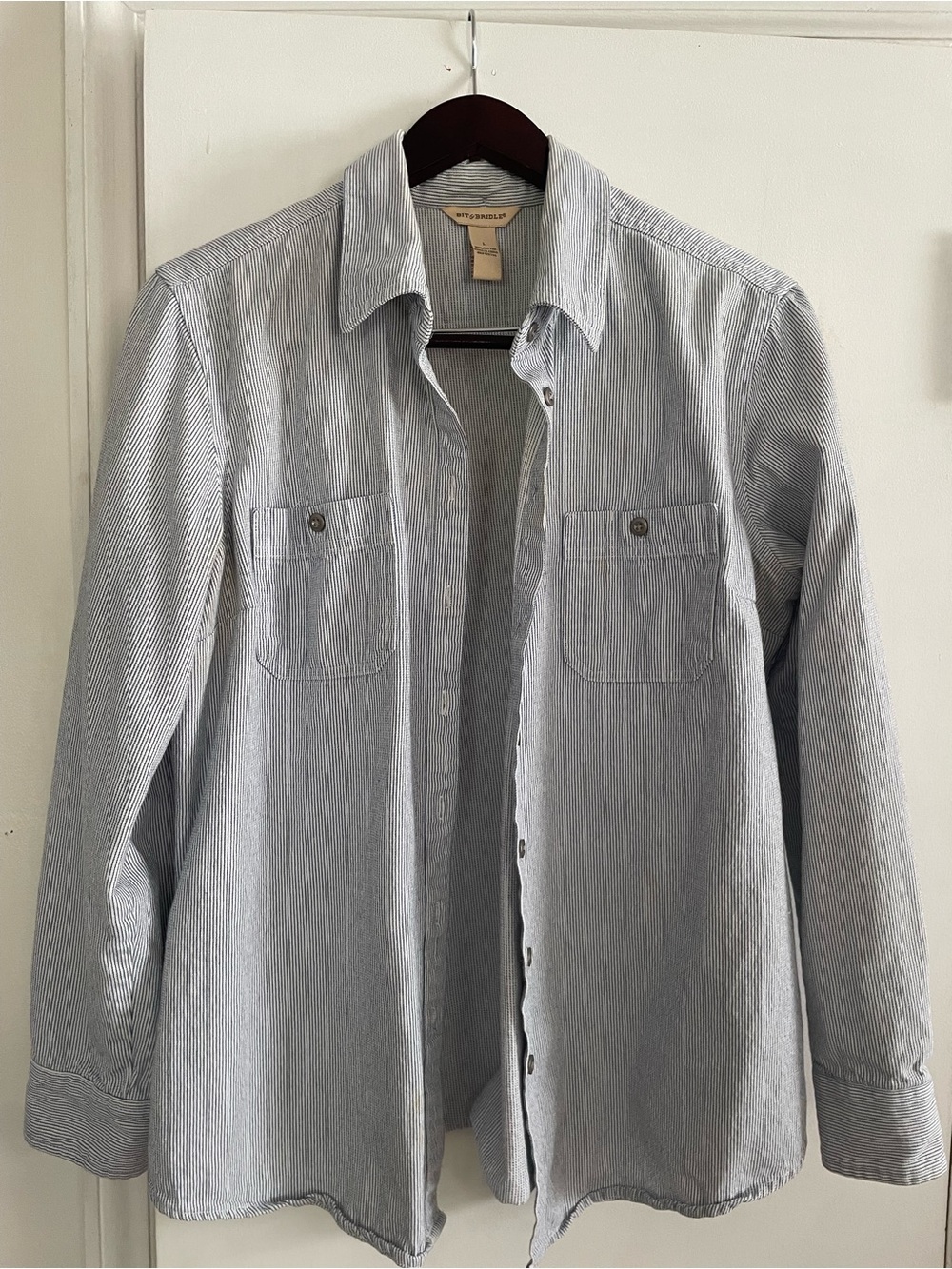 Blue Stripe Women’s Button-Down Shirt